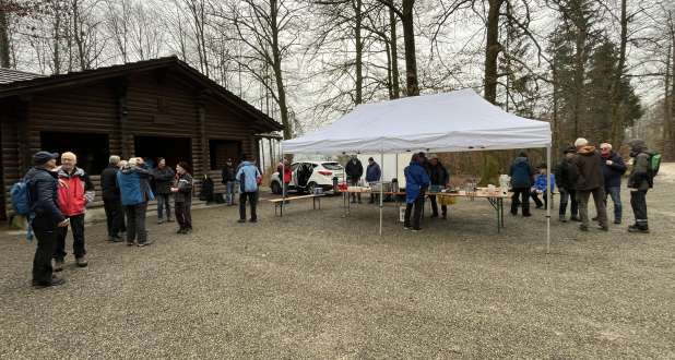 Gallerie-Bild