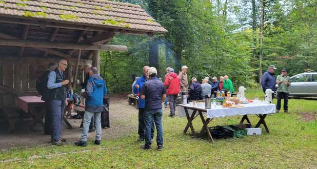 Gallerie-Bild